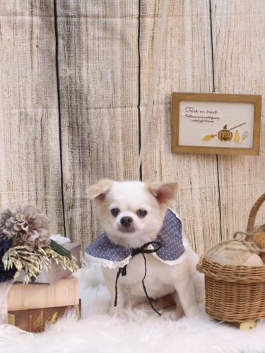 20241016風太くん